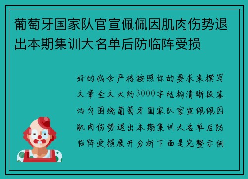 葡萄牙国家队官宣佩佩因肌肉伤势退出本期集训大名单后防临阵受损